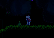 Dashing.gif