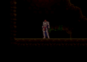 Wall jump.gif