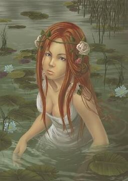 Ninfa