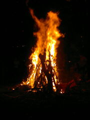 Holika dahan