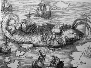 Ballena isla.jpg