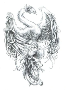 Tumblr mj7rhm2uBt1rxhzzfo1 500