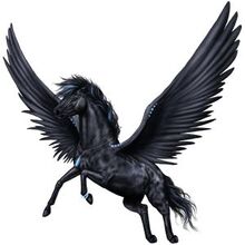 Pegaso negro