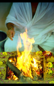 (A) Hindu puja, yajna, yagna, Havanam in progress