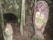 Kamakura Tanuki