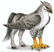 Hippogriff-mythical-creatures-28620890-700-679