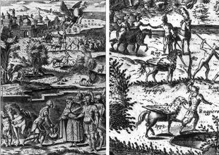 La imagen representa numerosas escenas con una criatura mitad caballo y mitad ave.
