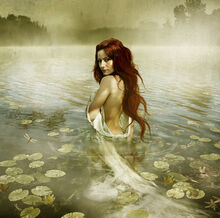 Ninfa (1)