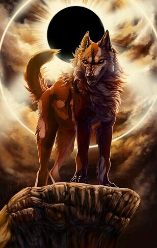 Wolf