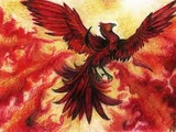 Raróg