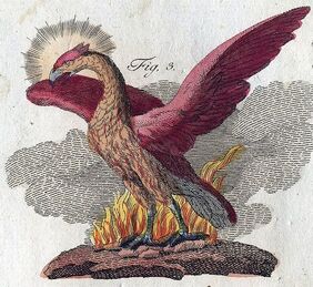 Fenix