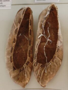Fischhautschuhe 2015-08-20 2530