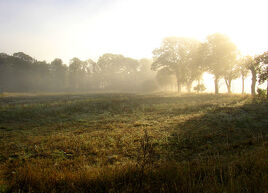 Hazy morning