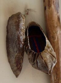 Fischhautschuhe (Skógasafn - Skògar Museum, Island)