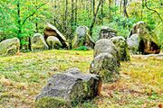 Visbeker Braut Wildeshausen, Kater107 2014-09-28
