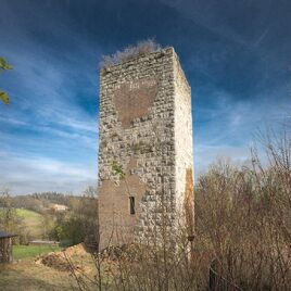 Bergfried Burgruine Niederviehhausen