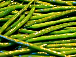Green beans Theilr 2015-06-02