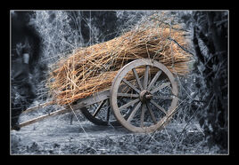 Thatchers cart