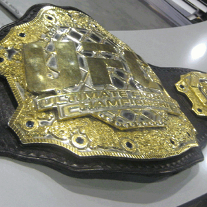 List Of Ufc Champions Edge Mma Fandom