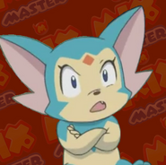 Pachi