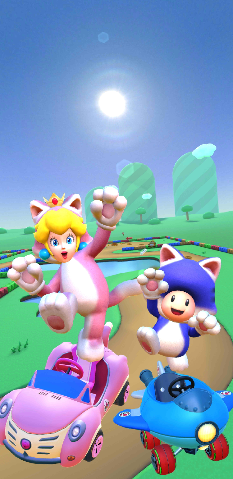 Using All the Cat Characters in Smash Karts 