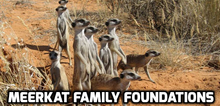 Meerkat Family Foundations.png