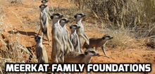 Meerkat Family Foundations