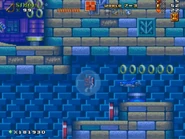 World7-3 HydrocityZone15.jpg (108 KB)