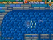 World7-3 HydrocityZone18.jpg (99 KB)