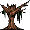 Dryad
