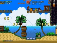 World1-S4 RiceBeach07NEW.jpg (129 KB)
