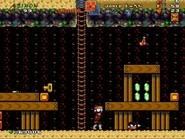 World1-S4 RiceBeach09NEW.jpg (123 KB)