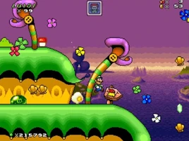 World8-3 CottonIsland14