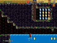 World1-S4 RiceBeach03NEW.jpg (114 KB)