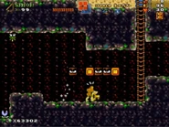 World1-S4 RiceBeach14NEW.jpg (114 KB)