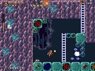 World3-8 MirrorCavernsNEWER10.jpg (130 KB)