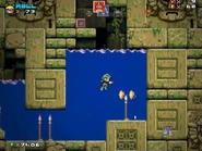 World2-4 AncientCitadel04.jpg (105 KB)