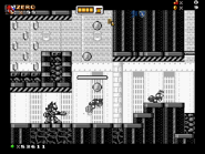 ...While the other path leads you to Ninja Gaiden.