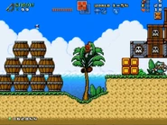 World1-S4 RiceBeach04NEW.jpg (124 KB)