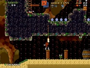 World1-S4 RiceBeach16NEW.jpg (115 KB)