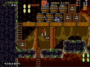 World1-S4 RiceBeach15NEW.jpg (120 KB)