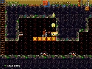 World1-S4 RiceBeach02NEW.jpg (121 KB)