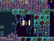 World3-8 MirrorCavernsNEWER02.jpg (127 KB)