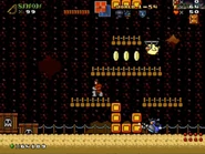 World1-S4 RiceBeach18NEW.jpg (114 KB)