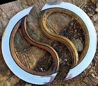 A Chakram