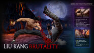 Liu Kang's Brutality and equipments showcase.