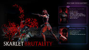 Brutality equipments