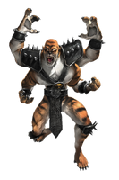 Another look at Kintaro's armor. Consisting of pauldrons, wristbands and kneepads.