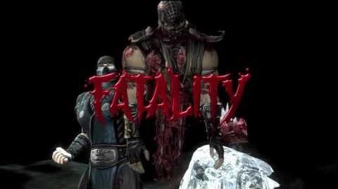Mortal Kombat (2011) - Sub-Zero Fatality 1