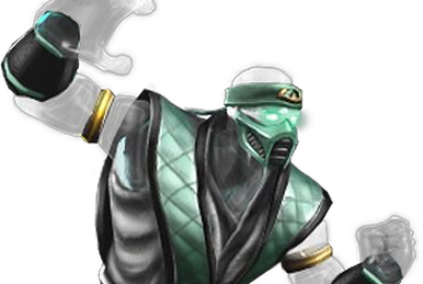 Ninja, Mortal Kombat Wiki